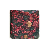 Mini czekolada ciemna z porzeczką i malinami  20g